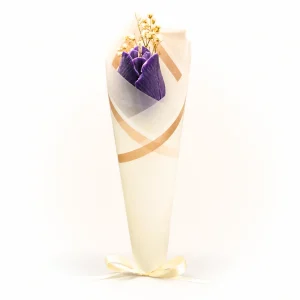 Ramo de un tulipán